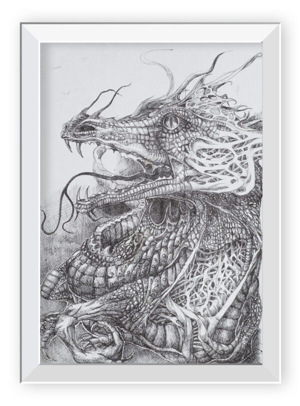 Dragones